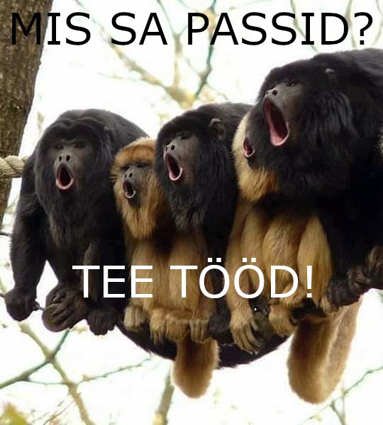 Missä passid?! 1